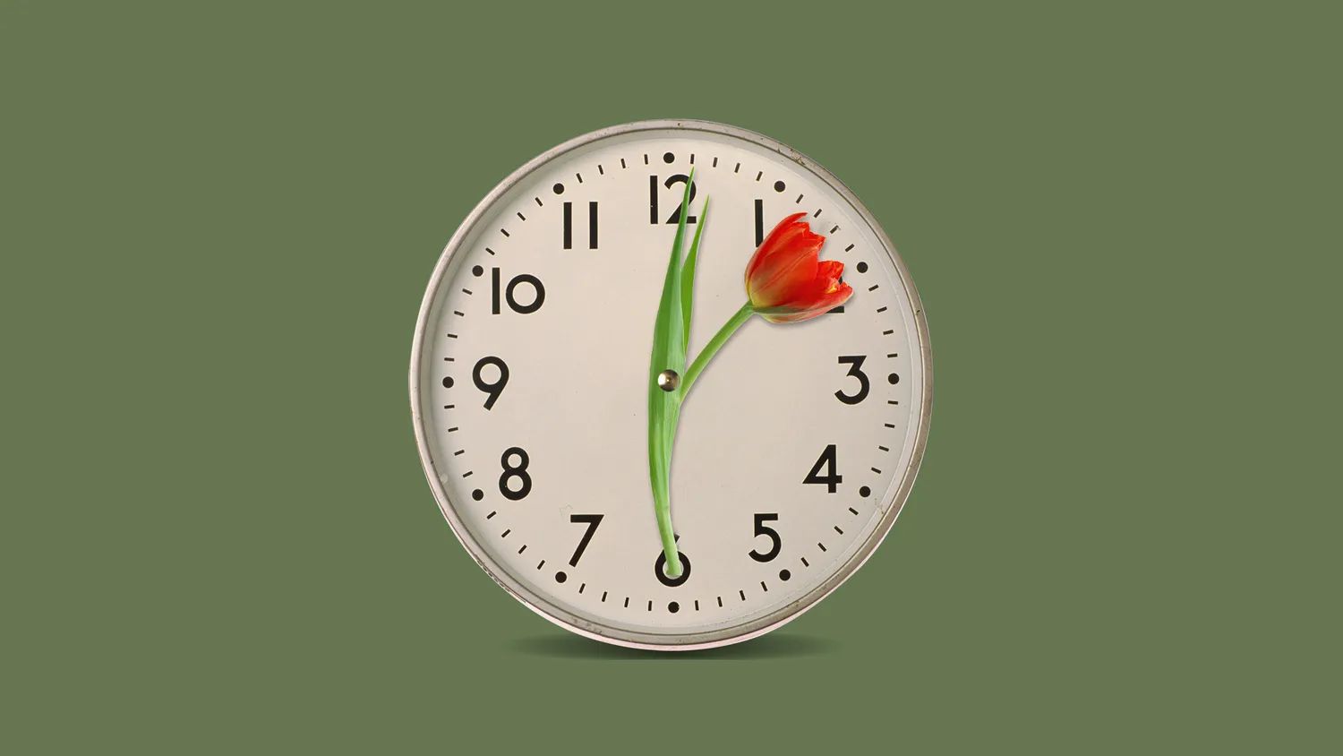 7 марта в Беларуси сокращённый рабочий день