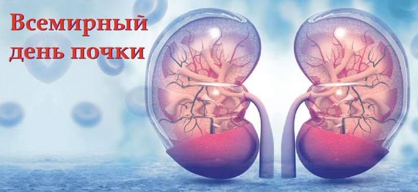 12 марта – Всемирный день почки